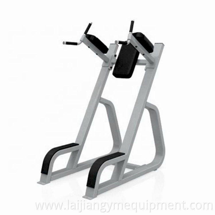 leg raise machine